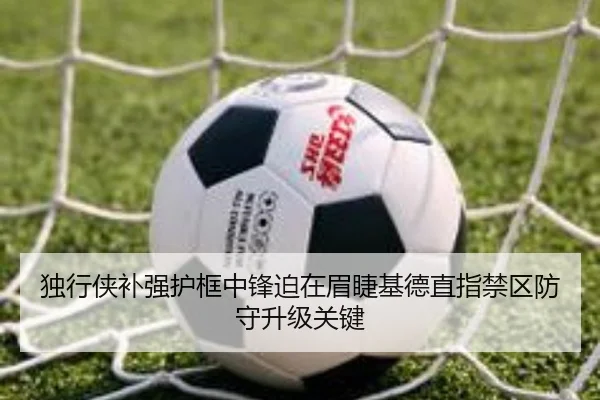 独行侠补强护框中锋迫在眉睫基德直指禁区防守升级关键